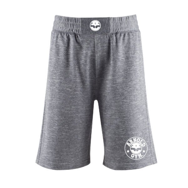 men's gym tech shorts, bodybuilding running reflective sport jogger grey shorts, arnold gym