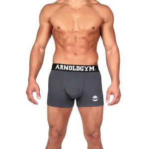 0000443 arnold gym sport series anthracite grey trunks 2 pack