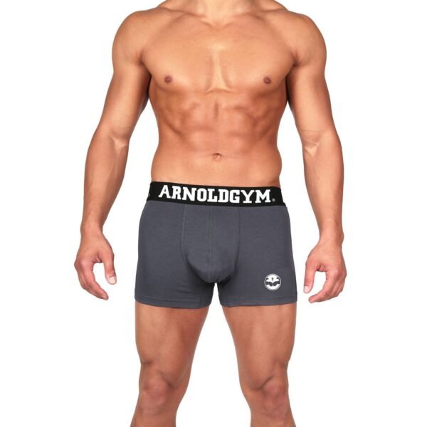 men's gym underwear-arnold gym sport series anthracite grey trunks 2 pack