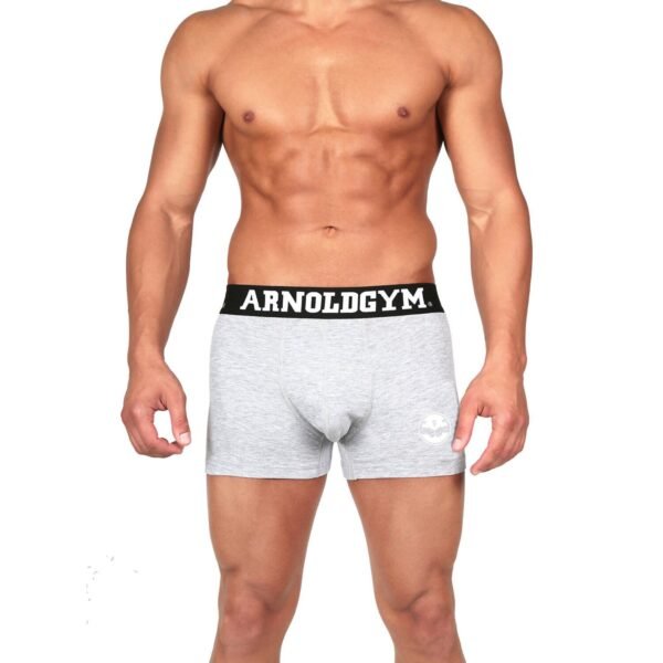 men's gym underwear-arnold gym sport series grey trunks 2 pack