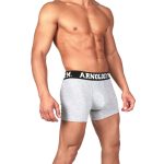 0000445 arnold gym sport series grey trunks 2 pack