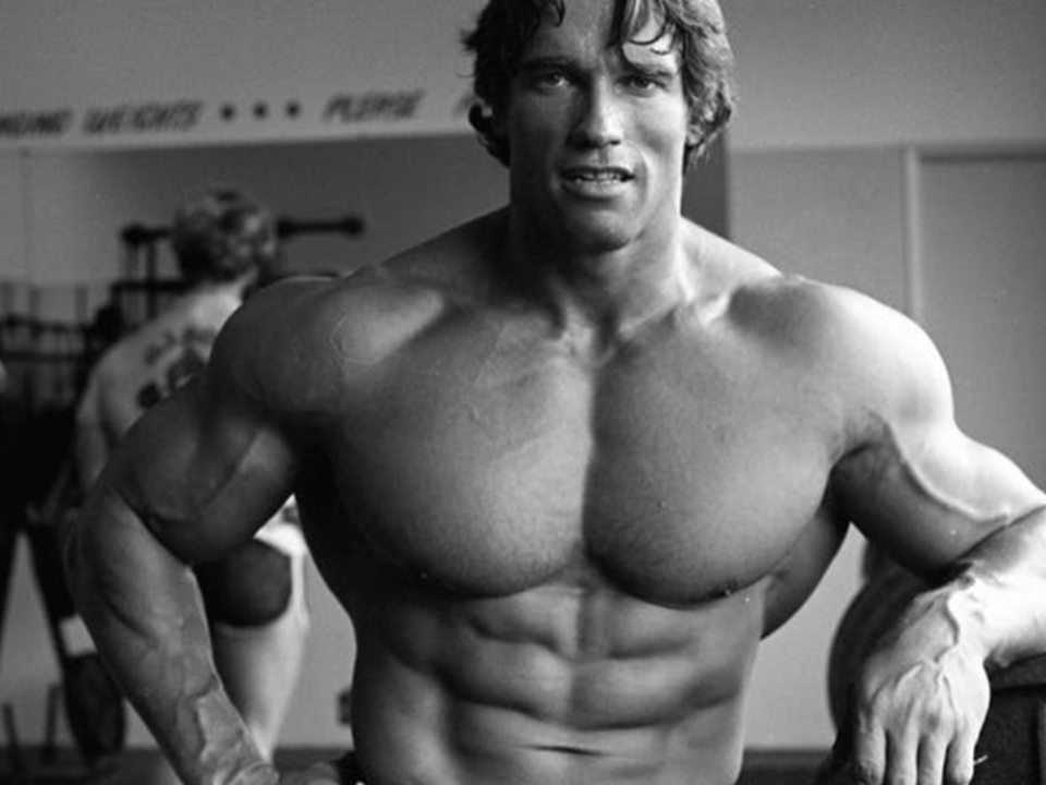 Arnold Schwarzenegger photo - Arnold Gym