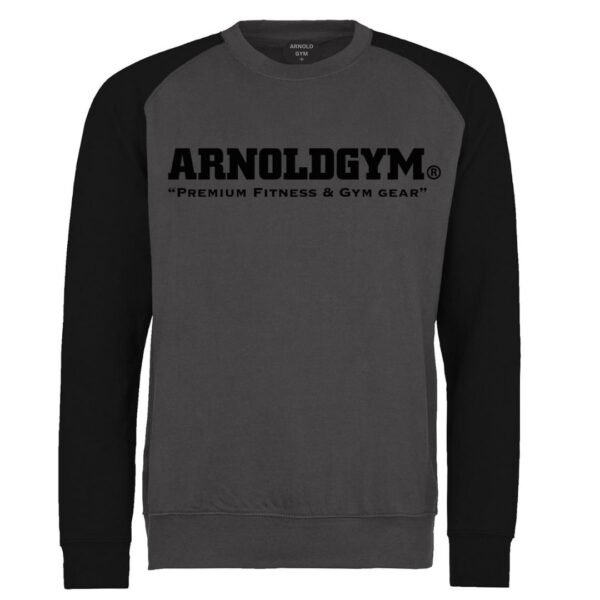 FITNESS JUMPER-GYM SWEATSHIRT-ARNOLD GYM