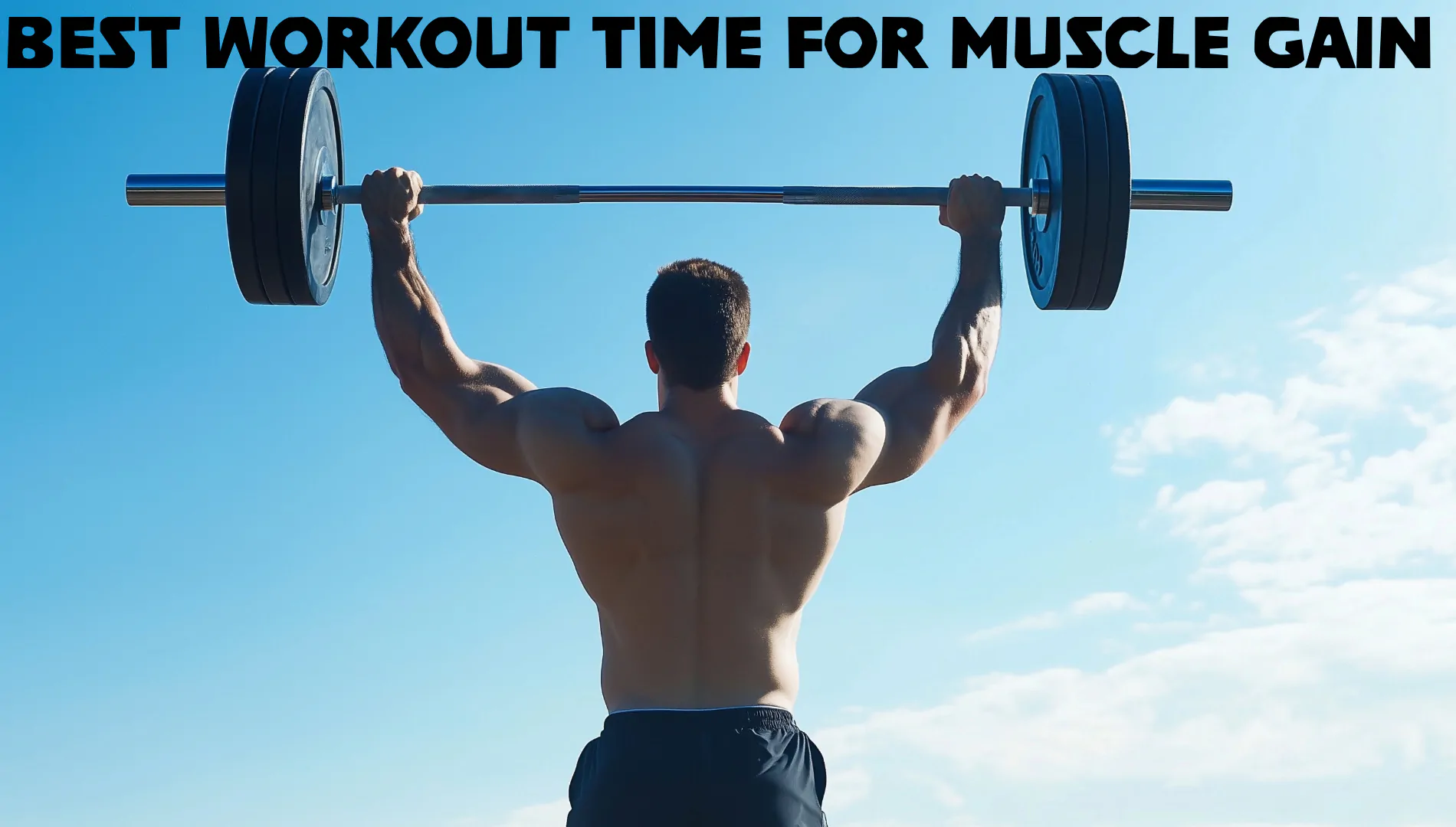 Best workout time for muscle gain 1 Best workout time for muscle gain - arnold gym