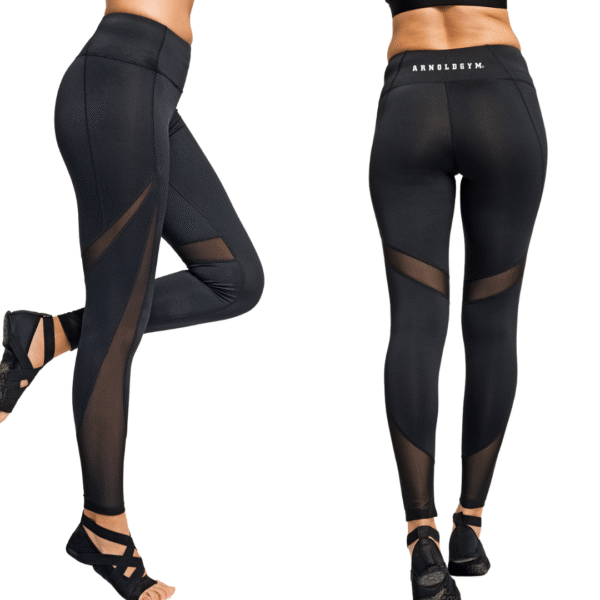 women's GYM LEGGINGS ARNOLD GYM