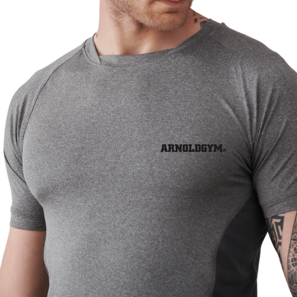 mens sportswear t shirt grey arnoldgym