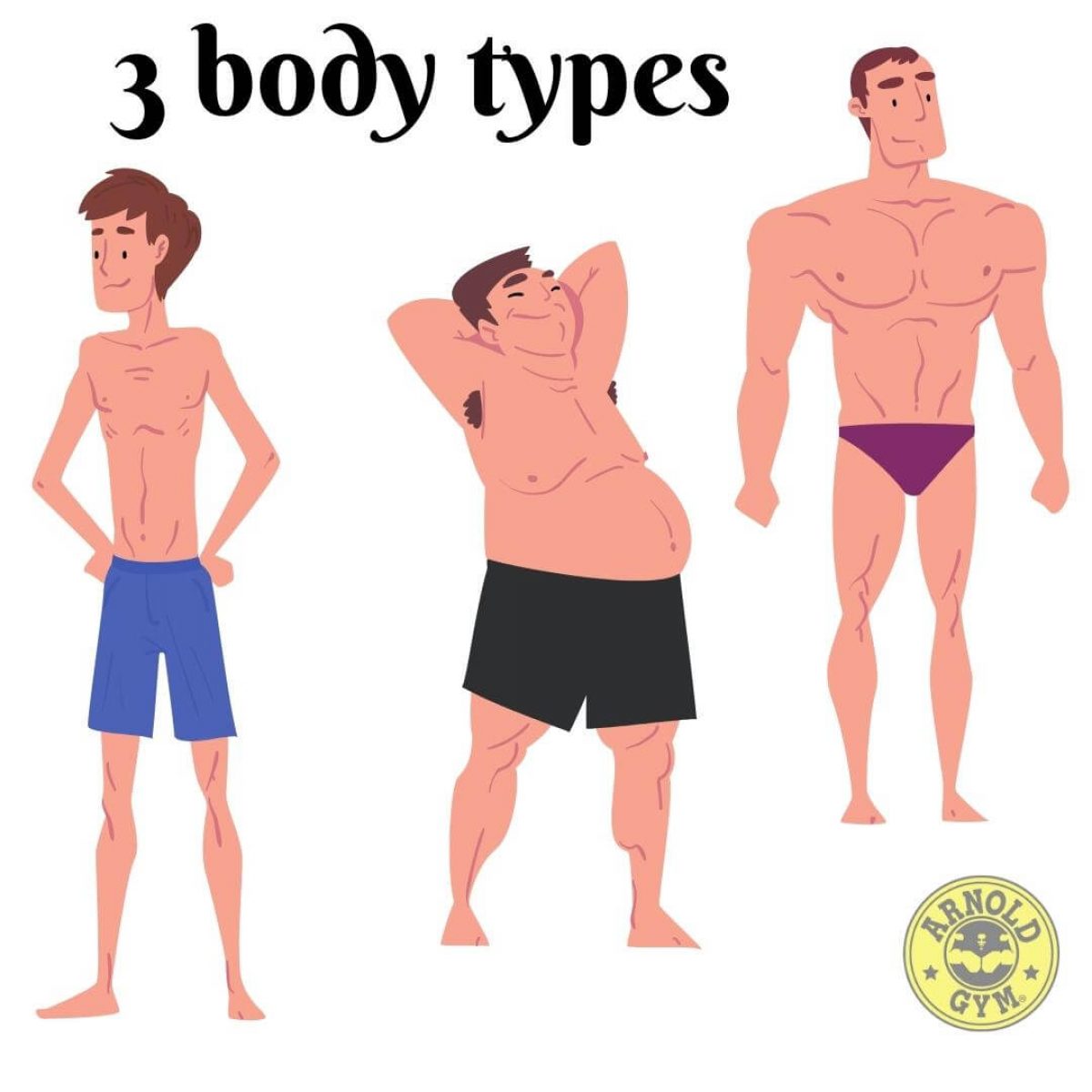 What is your fitness body type? - Arnold Gym Gear