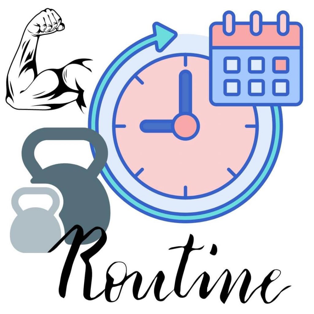 Workout Routine to Gain Weight arnol gym