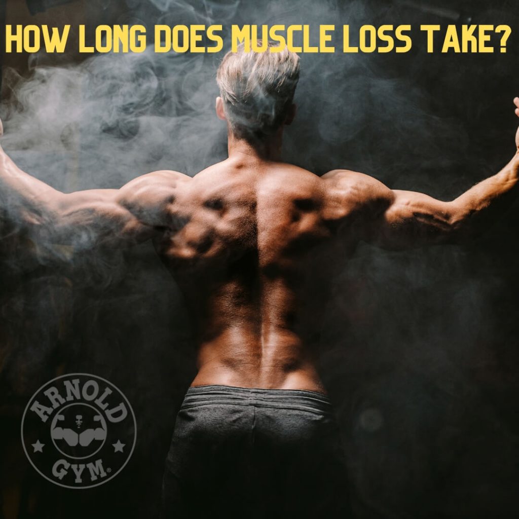 muscle loss after stopping workout