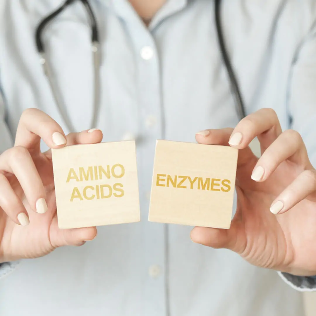 amino acids and enzymes