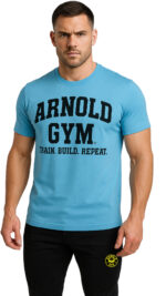 men's gym t-shirt..arnold gym train build repeat