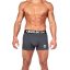 men's gym underwear-arnold gym sport series anthracite grey trunks 2 pack