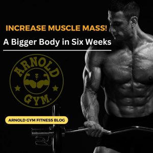 A Bigger Body in Six Weeks - arnold gym